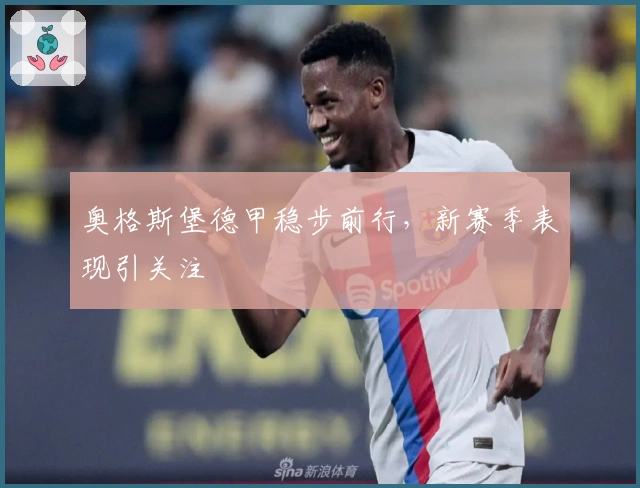 奥格斯堡德甲稳步前行，新赛季表现引关注